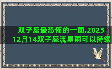 双子座最恐怖的一面,2023 12月14双子座流星雨可以持续多久 双子座最恐怖的一面,2023 12月14双子座流星雨可以持续多久